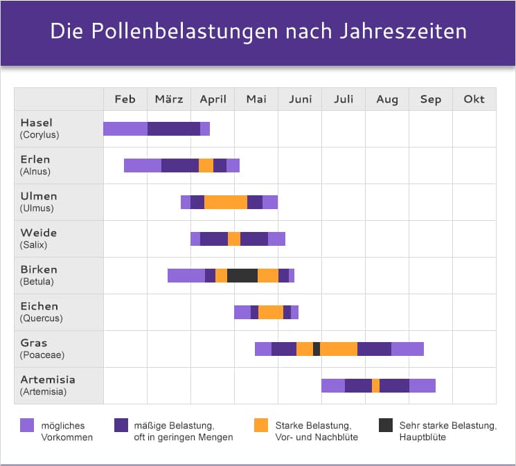 Pollenkalender