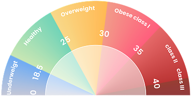 BMI meter