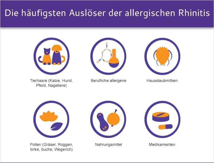 Heuschnupfen Auslöser