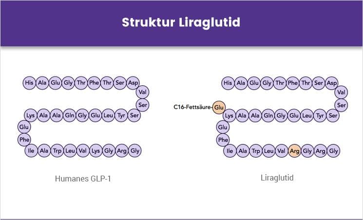 liraglutid-struktur 