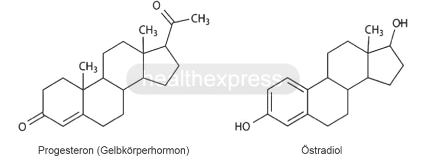 Konjugiertes Estrogen Kauf