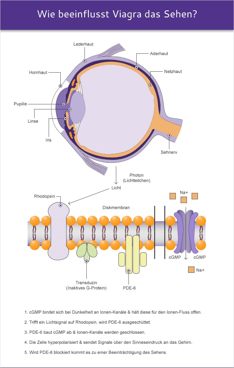 Sildeanfil verursacht blaues Sehen