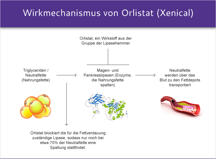 Kosten Für Orlistat