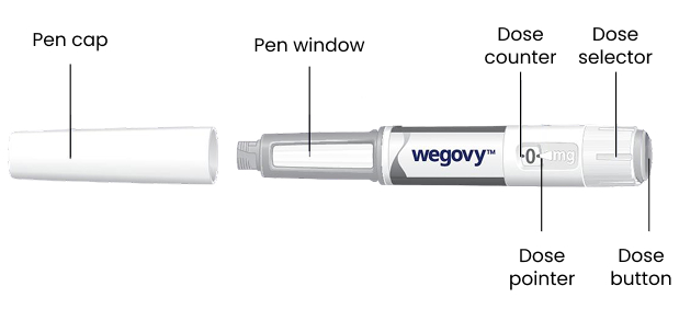 Grafik beschreibt den Aufbau des Wegovy-Pen