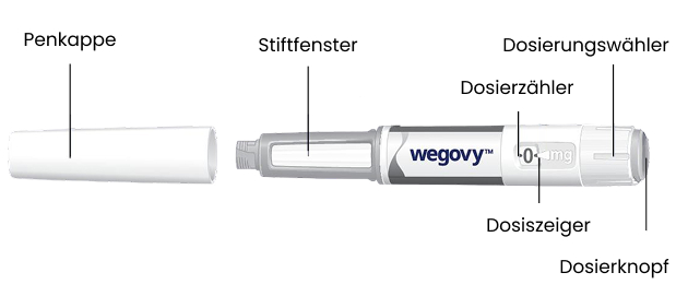 Grafik beschreibt den Aufbau des Wegovy-Pen