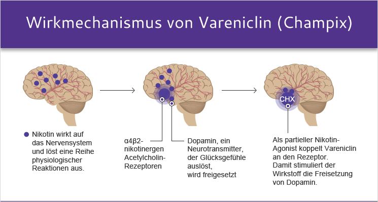Wirkmechanismus von Vareniclin (Champix)