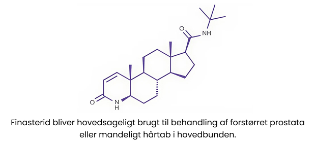 Kemisk Struktur af Finasterid