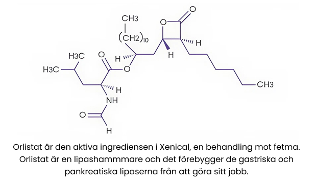 Kemisk Struktur för Orlistat