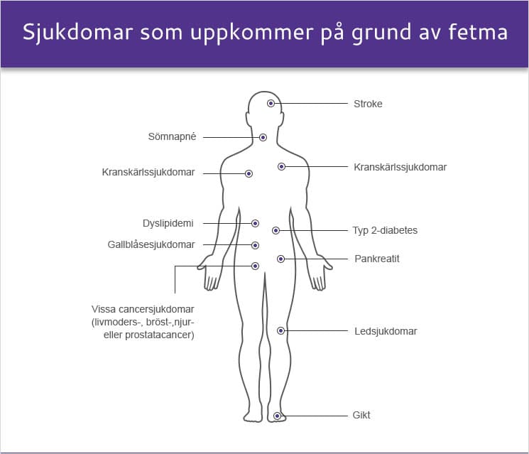 Sjukdomar som uppkommer på grund av fetma