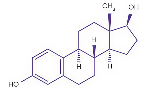 Chemical composition of estradiol