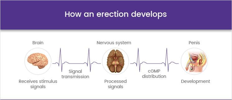 buy-erectile-dysfunction-treatments-online-healthexpress-uk