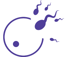 Certain hormonal contraceptives