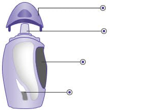 An infographic showing the different parts of Avamys nasal spray.