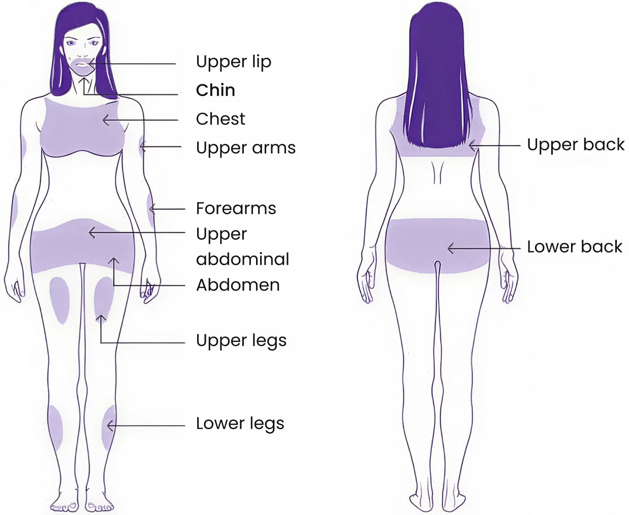 Bodies where hirsutism is measured