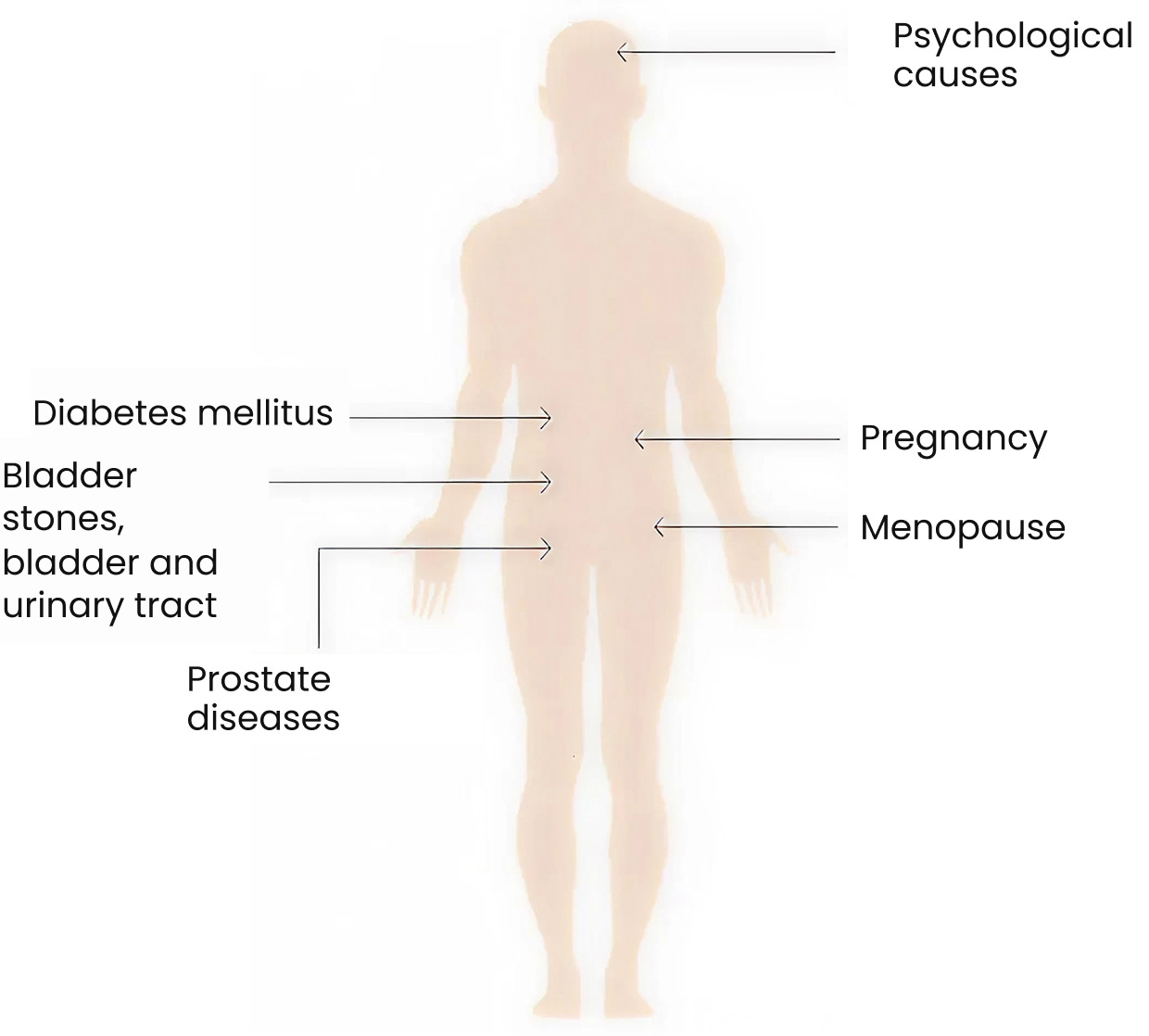 Causes of bladder pain