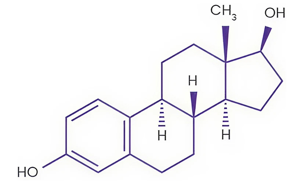 Chemical composition of estradiol