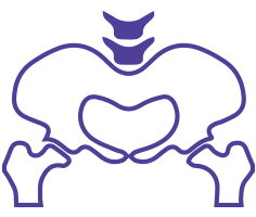 pelvic blood vessels