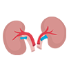 kidney problems image