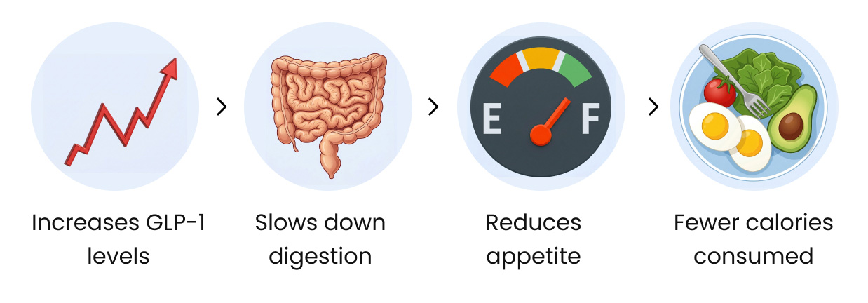 How Ozempic works