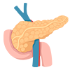 Pancreas problems image
