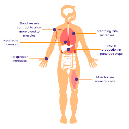 can-stress-and-anxiety-cause-erectile-dysfunction-healthexpress