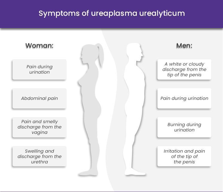 prostatitis az uraplasm parvumban