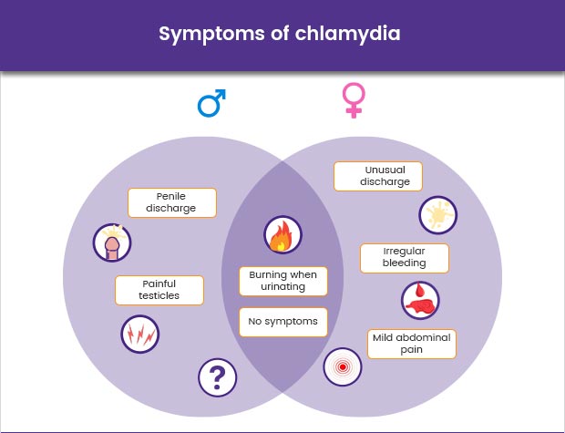 Buy Chlamydia Treatment Online HealthExpress