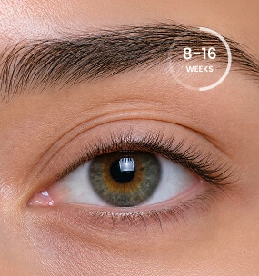 Experience longer lashes