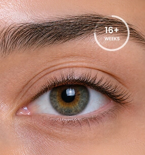 Experience longer lashes