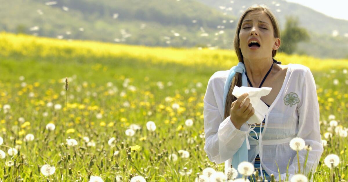 A woman holding a tissue and sneezing due to surrounding pollen.